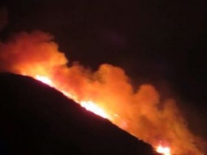 nqe