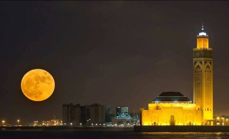 اضغط على الصورة لرؤيتها بالحجم الطبيعي