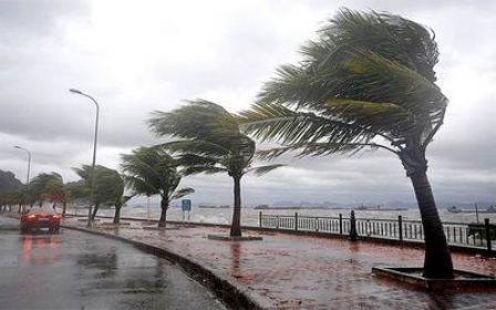 اضغط على الصورة لرؤيتها بالحجم الطبيعي