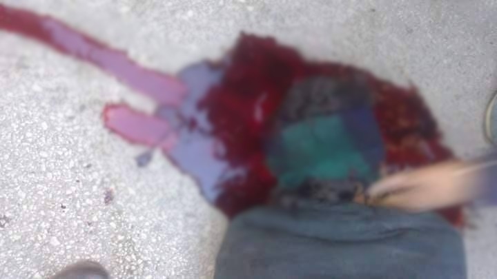 اضغط على الصورة لرؤيتها بالحجم الطبيعي