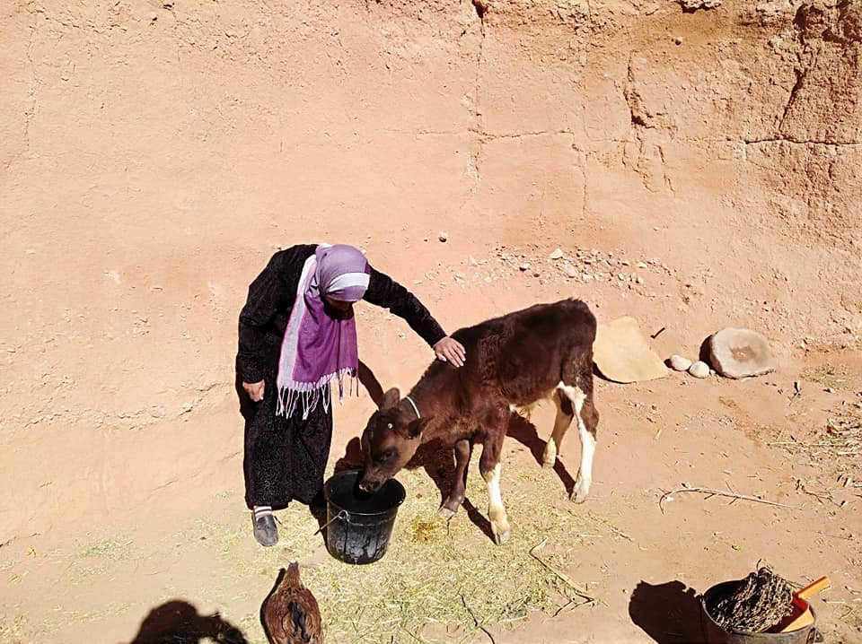 اضغط على الصورة لرؤيتها بالحجم الطبيعي