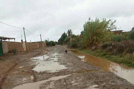 اضغط على الصورة لرؤيتها بالحجم الطبيعي