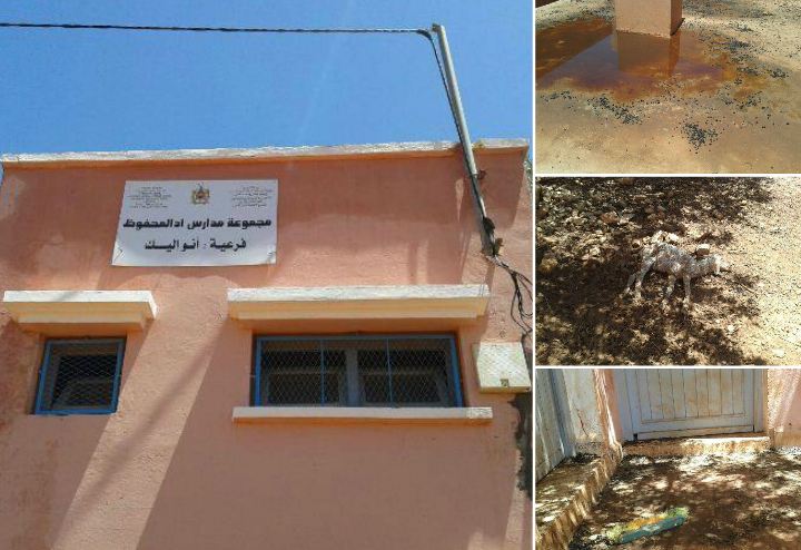 اضغط على الصورة لرؤيتها بالحجم الطبيعي