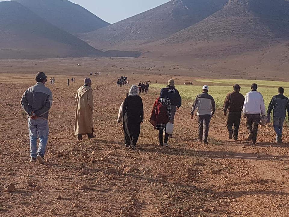 اضغط على الصورة لرؤيتها بالحجم الطبيعي