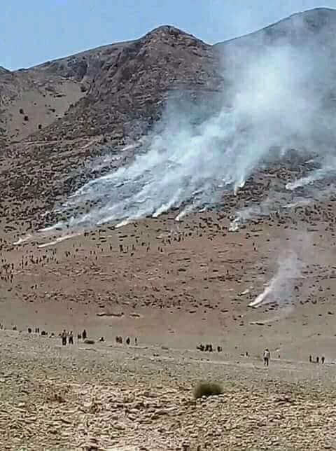 اضغط على الصورة لرؤيتها بالحجم الطبيعي