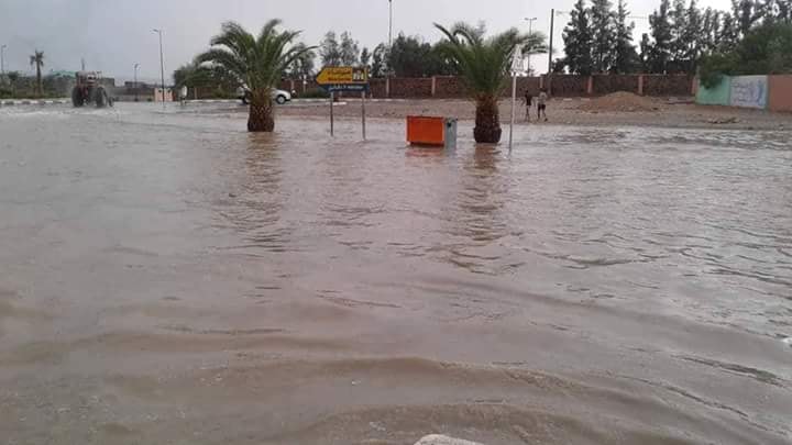 اضغط على الصورة لرؤيتها بالحجم الطبيعي
