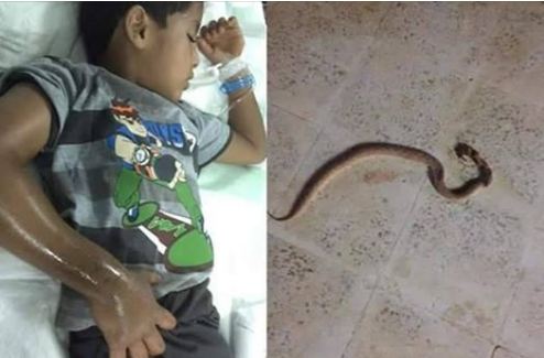 اضغط على الصورة لرؤيتها بالحجم الطبيعي
