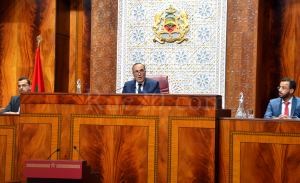 اضغط على الصورة لرؤيتها بالحجم الطبيعي